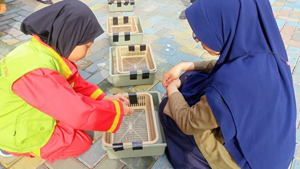 Siswa SD Sakri Praktik Menanam Kangkung secara Hidroponik