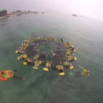 Asyiknya Guru SD Mukrida Snorkeling di Gili Ketapang Probolinggo 