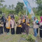 Gerakan Nandur Sewu Pring Aisyiyah Lumajang untuk Menjaga Ekosistem