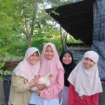 Seru! Interaksi dengan Hewan Ternak ala Peserta Live in Journey