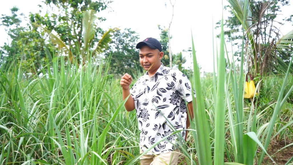 Kisah Alumnus Muda UMM Sukses Berbisnis Tebu