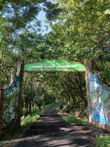 Lembah Surga Gambirloyo, Hidden Gems Dekat Bandara Dhoho