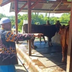 5 Ide Bisnis Agropreneur yang Bisa Dijalankan Warga Muhammadiyah