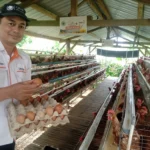 Kampung Berdaya Unggas Petelur, Program Pemberdayaan Zakat Ekonomi Produktif