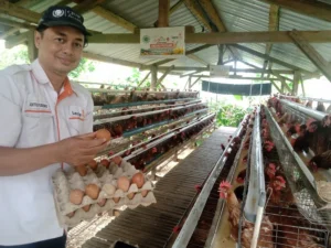 Kampung Berdaya Unggas Petelur, Program Pemberdayaan Zakat Ekonomi Produktif