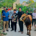 Umla Berikan Bantuan Sapi Kurban ke PRM Laladan