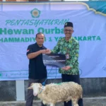 SMA Muhi Tasyarufkan 48 Hewan Kurban untuk AUM Se-DIY