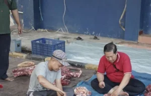 Sukses! Kurban Umsida Mengayomi Masyarakat