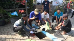RS Muhammadiyah Lamongan Adakan Kurban Idul Adha 1445 H