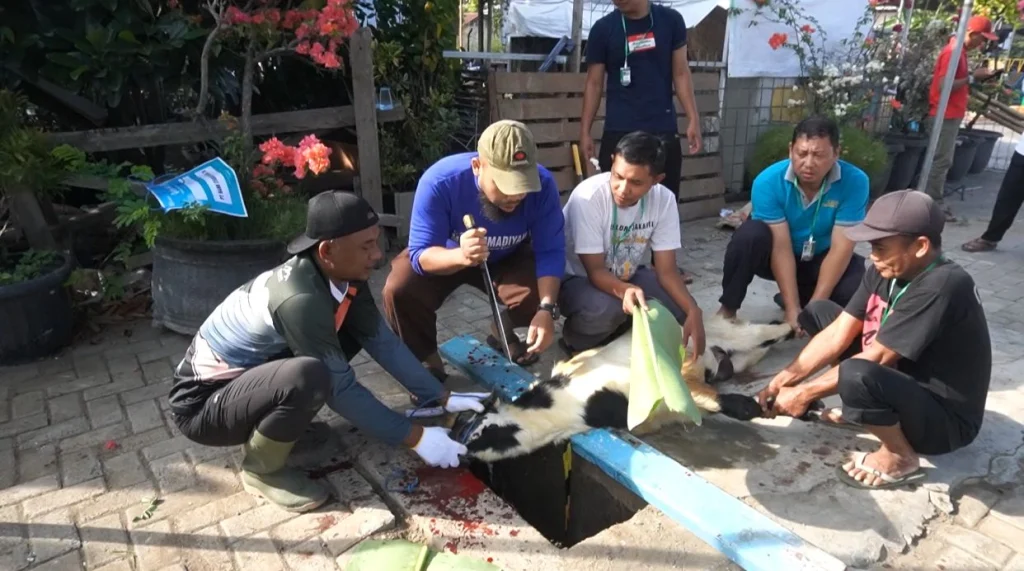 RS Muhammadiyah Lamongan Adakan Kurban Idul Adha 1445 H