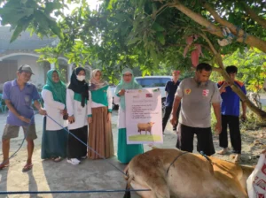 Hari Kedua Kurban, RSI Aminah Blitar Bersama PCM Ponggok Berbagi Berkah