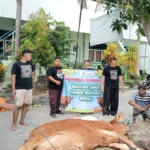 RSI Aminah Blitar Sembelih 6 Sapi dan 2 Kambing