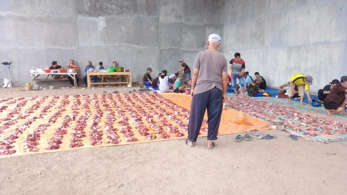 465 Bungkus Daging Kurban PRM Jalen, Bukti Syiar Muhammadiyah?