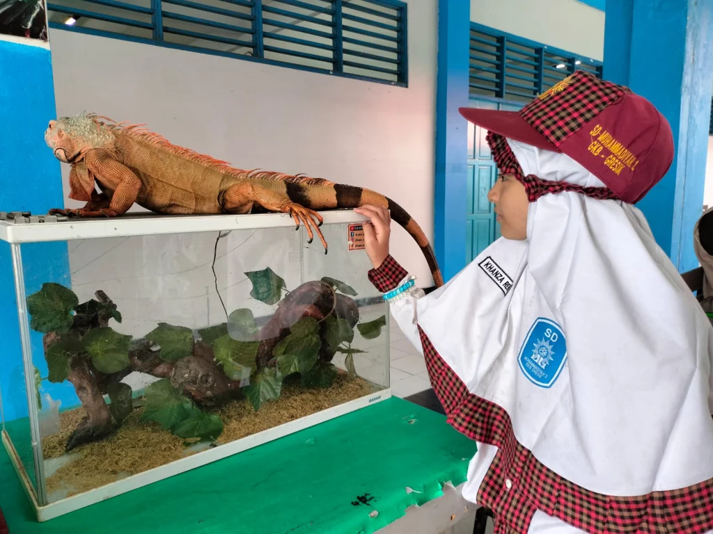 Animals Exhibition Menarik Perhatian Siswa Berlian School di Hari Pertama Sekolah