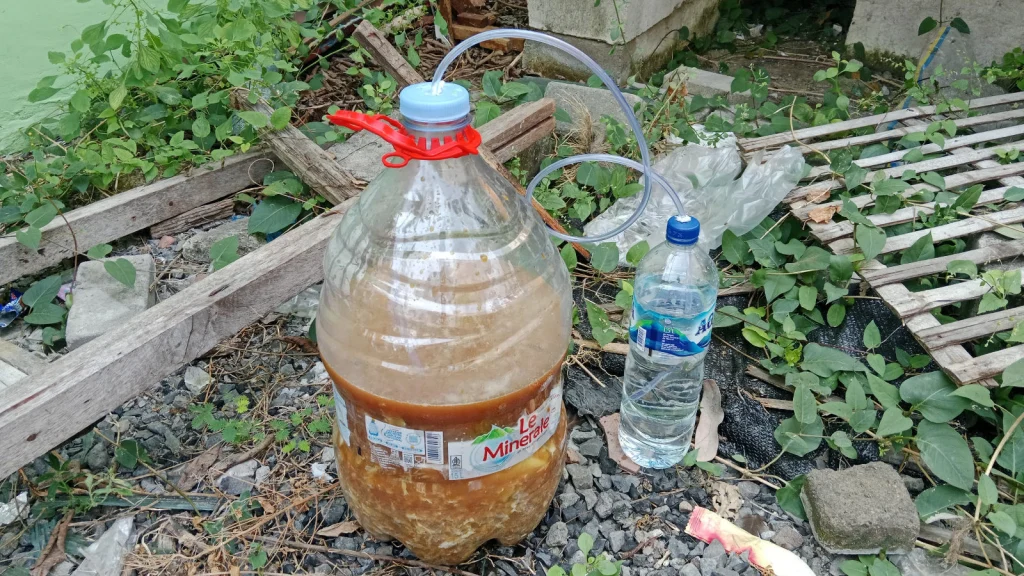 Mahasiswa KKN K-19 UM Surabaya Lakukan Uji Coba Pupuk Organik Cair Berbahan Limbah Ikan