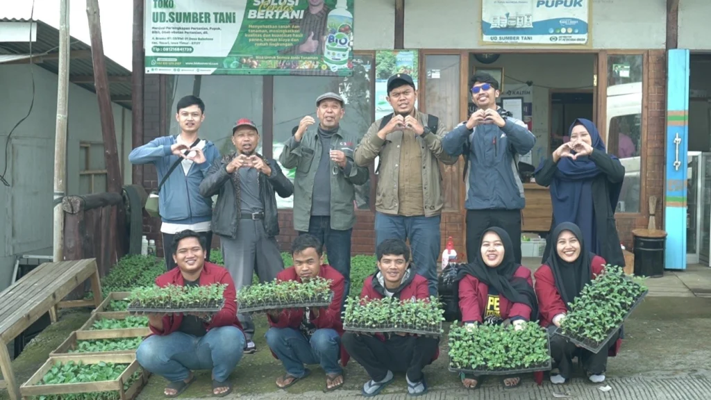 UMM Potato Seeds Kembangkan Benih Kentang Lewat Stek Pucuk Berakar
