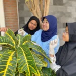 Praktikum Materi Simbiosis di PPI AMF, Renungi Ciptaan Allah