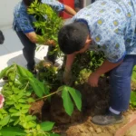 PMI Kota Blitar Hibahkan 4 Tanaman ke SMP Muhammadiyah 1 Blitar