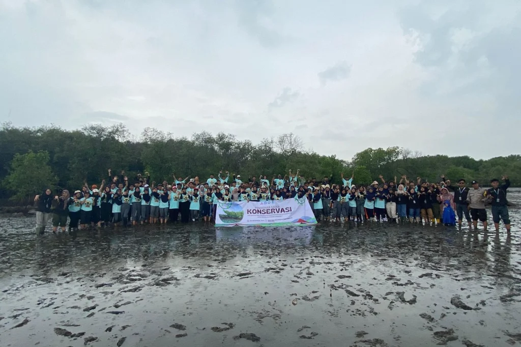 Libatkan Ratusan Pelajar, Kehutanan UMM Tanam 1000 Mangrove di Probolinggo