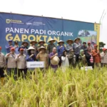 UMM Gandeng Kemendiktisaintek, Jadikan Bondowoso Percontohan Nasional Pertanian Organik