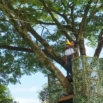 SMP Muhammadiyah 1 Blitar Uji Nyali Flying Fox dalam Kegiatan Bela Negara