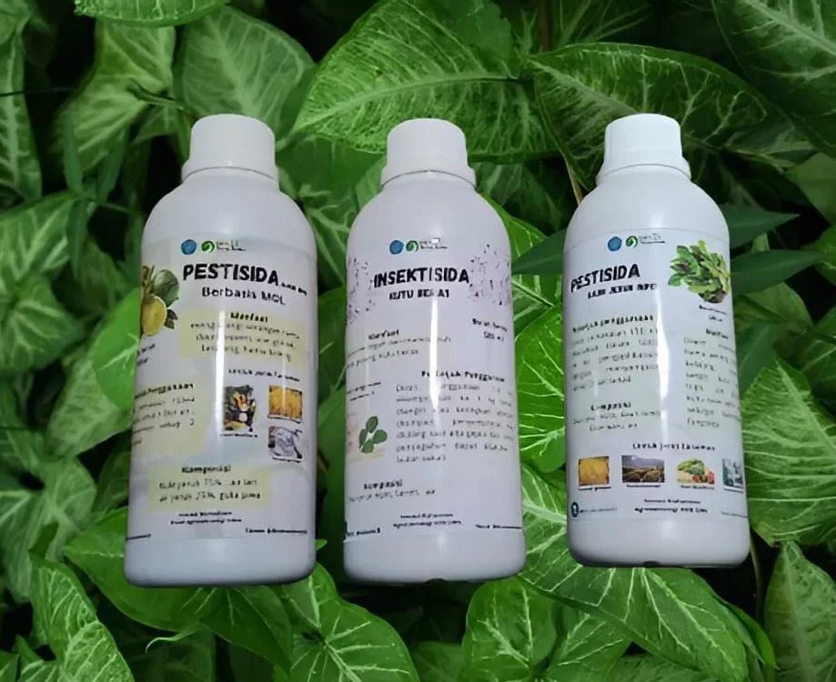 Unik! Mahasiswa KKN UMG Sosialisasikan Cara Ubah Jeruk Nipis Jadi Pestisida