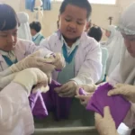 Inovatif! Siswa SD Mugres Praktik Membuat Reusable Wipes