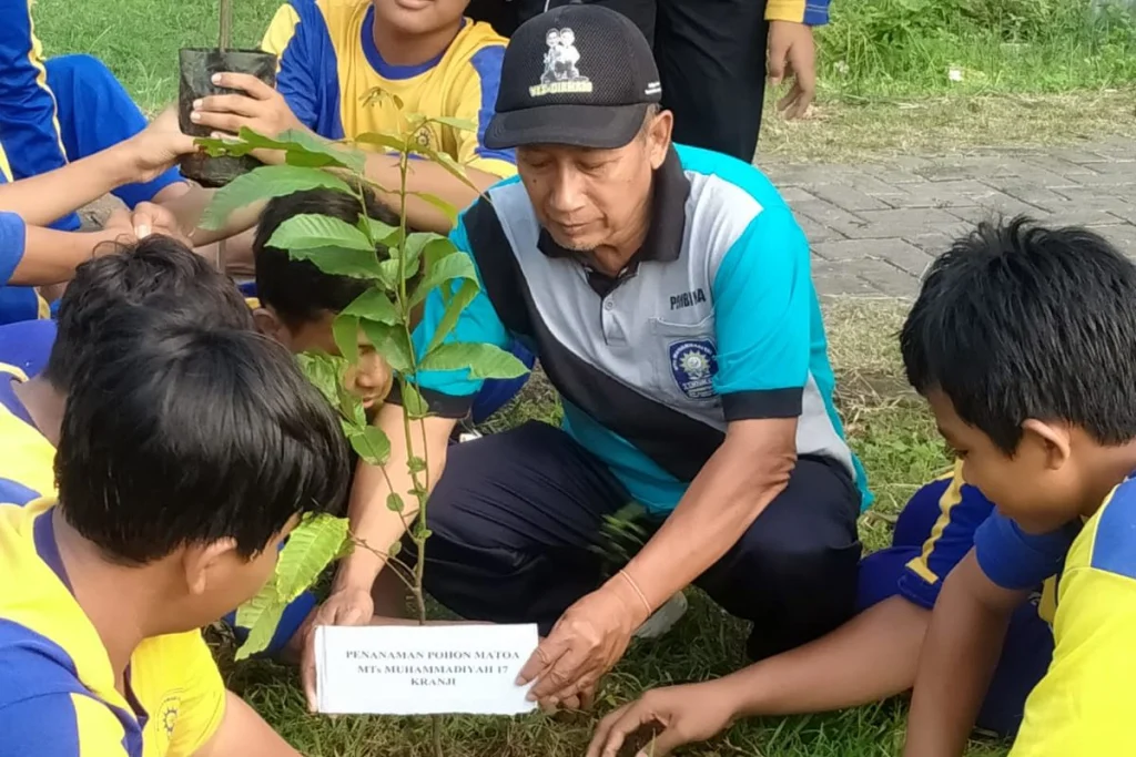 Matoa untuk Masa Depan: Langkah Nyata MTs Mutulas Lawan Perubahan Iklim