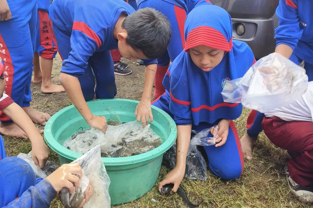 Pelajaran Pengembangan Skill, Siswa Kelas 3 SD Zamzam Panen Ikan Lele