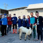 Masjid Asy-Syifa RS Muhammadiyah Lamongan Wujudkan Kurban Berkah dan Ramah Lingkungan