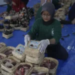 5 Tahun UMM Konsisten Laksanakan Green and Halal Kurban