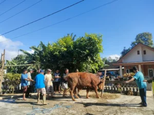 RSI Aminah Blitar Tebar Kurban di Lereng Gunung Kawi