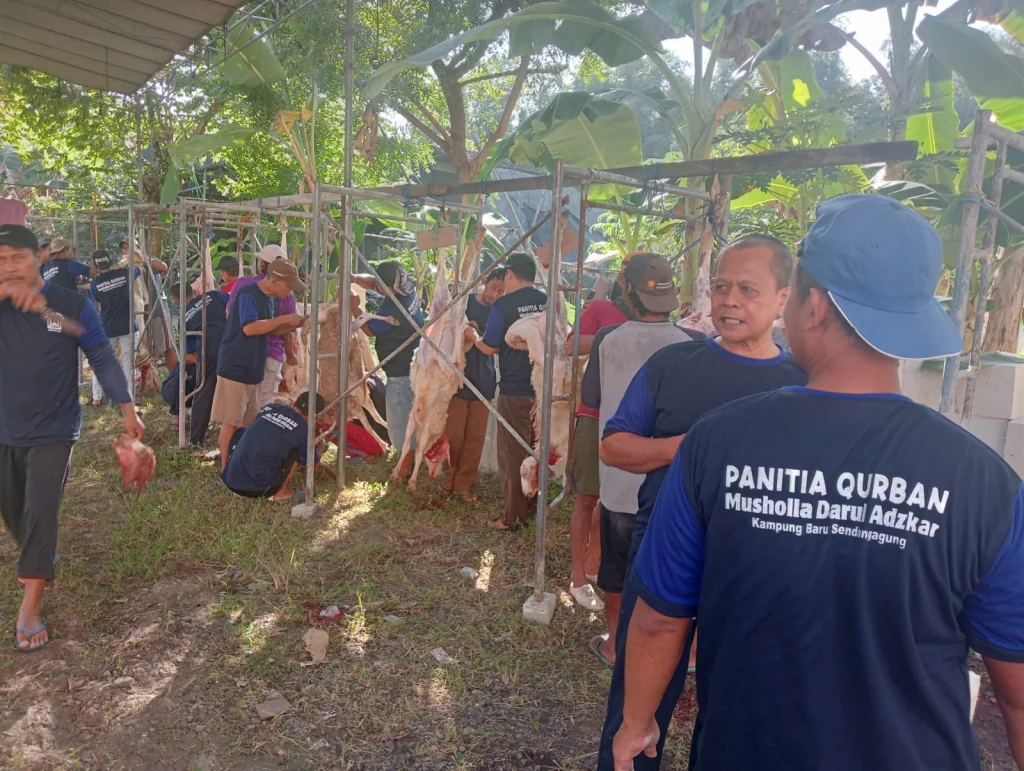 Musala Darul Adzkar Pojok Kampung Sendangagung Potong 12 Hewan Kurban