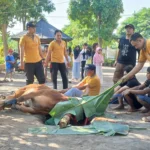 Iduladha di SD Muhammadiyah 4 Zamzam: Ajak Siswa Siswi Hadir Langsung