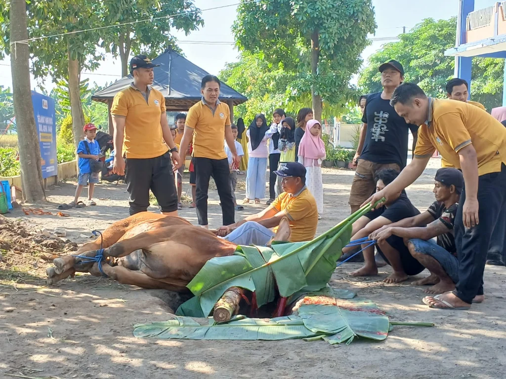 Iduladha di SD Muhammadiyah 4 Zamzam: Ajak Siswa Siswi Hadir Langsung