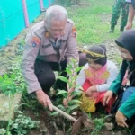 Muhammadiyah Lakukan Aksi Nyata Peduli Alam, Tanam 1000 Pohon Demi Generasi Mendatang