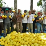 Berdakwah dan Petik Melon Gratis di Sendangharjo, Destinasi Wisata Baru Lamongan