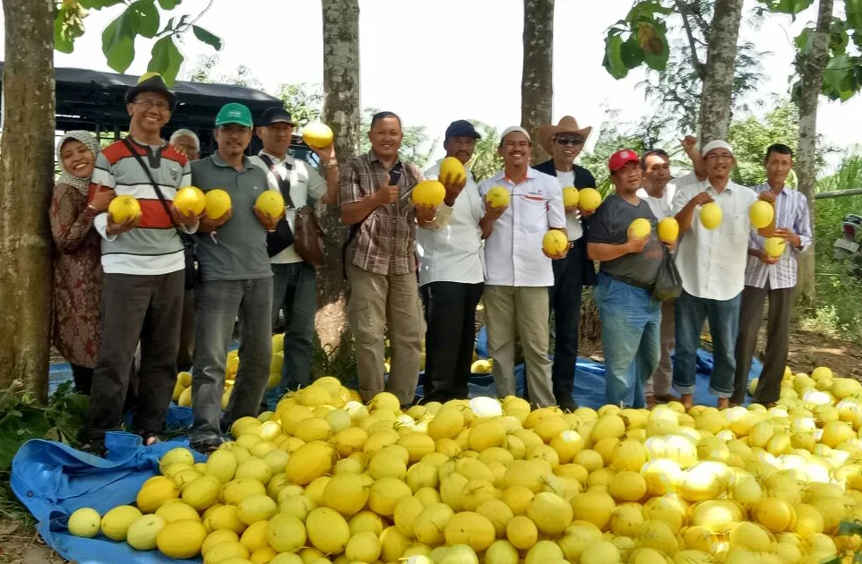 Berdakwah dan Petik Melon Gratis di Sendangharjo, Destinasi Wisata Baru Lamongan