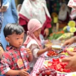 Serunya Garden Explore Day: TK Ababe School Ajak Siswa Belajar Berkebun hingga Memasak