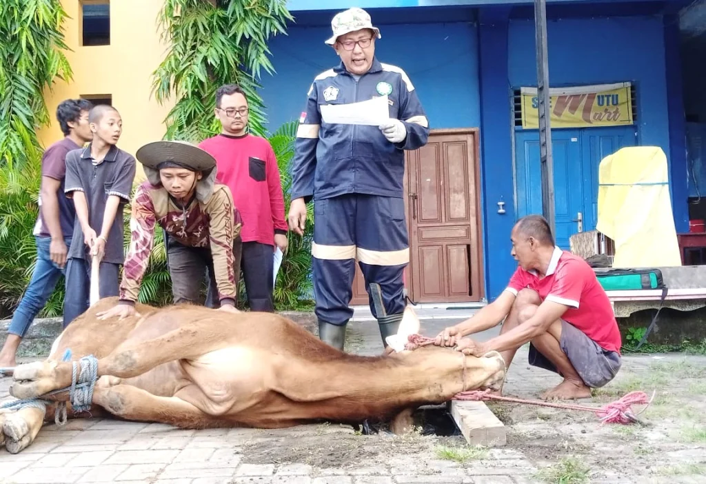 Spemutu Gresik Tunjukkan Semangat Berbagi Lewat Kurban