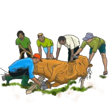 Menjaga Amanah Sebagai Panitia Kurban