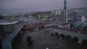 Gempa Sulawesi, MDMC Jatim Terjunkan Relawan ke Lokasi