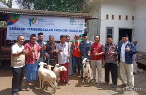 Milad ke-113, LDK PDM Kabupaten Kediri Bantu Ekonomi Mualaf lewat 17 Ekor Kambing
