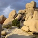 Nabi Diboikot, Harta Abu Bakar Terkuras