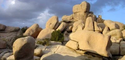 Nabi Diboikot, Harta Abu Bakar Terkuras