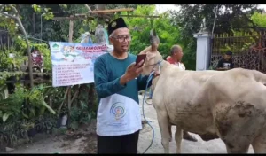 LDK PDM Blitar Sukses Langsungkan Amanah Kurban untuk Mualaf
