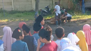 Penyembelihan Hewan Kurban SD Muhammadiyah 1 Krian Libatkan Murid