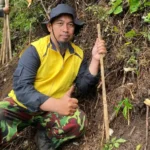 MDMC Boyolali dan Surakarta Gelar Operasi Gabungan: Merbabu Hijau 113