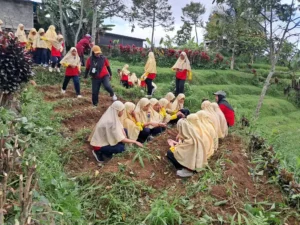 Keseruan Siswa Kelas VI SD Mudabo di Agro Wisata Amanah: Susur Sungai hingga Cukur Bulu Domba