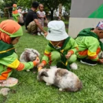 Kunjungi Kandang Satwa, Pandu Tunas Athfal KB-TK Aisyiyah Bustanul Athfal 49 Ikuti Nature’s Classroom